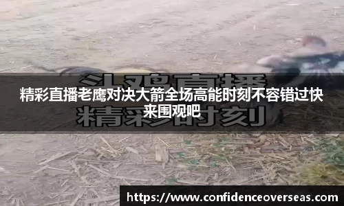 精彩直播老鹰对决大箭全场高能时刻不容错过快来围观吧